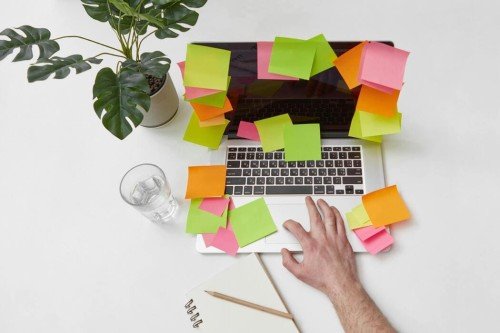 Construire l’Autorité Grâce à des Profils de Liens de Haute Valeur